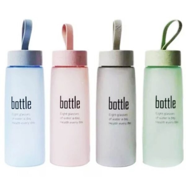 Botella 231  plastico 450cc