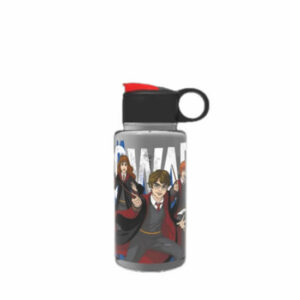 Botella 500ml Harry Potter