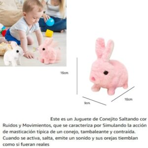 Conejo a pila camina, salta 698