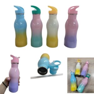 Botella aluminio bicolor 750ml 048