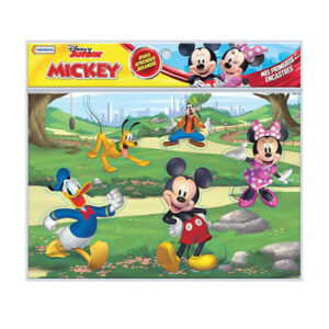Goma eva mickey.