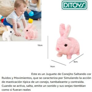 Conejo a pila,camina y salta
