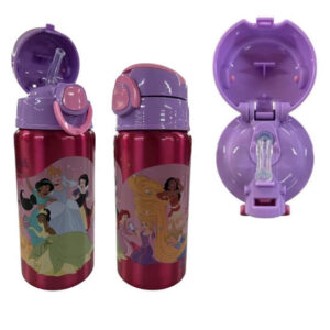 Botella aluminio 500cc Princesas
